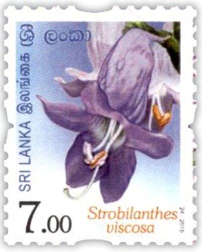 Flowers of Sri Lanka - 2016 (04/12)