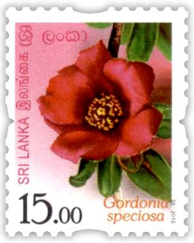 Flowers of Sri Lanka - 2016 (06/12)