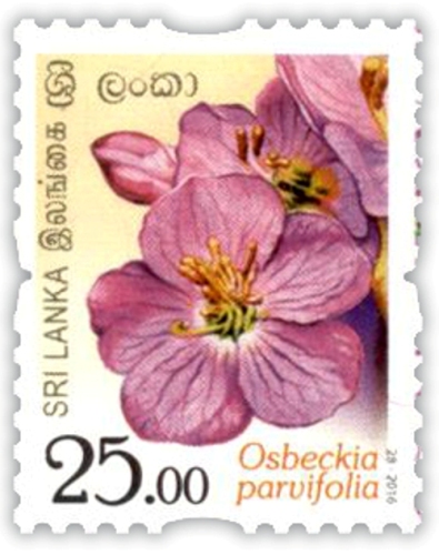 Flowers of Sri Lanka - 2016 (08/12)