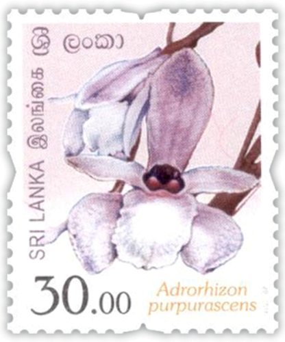 Flowers of Sri Lanka - 2016 (09/12)