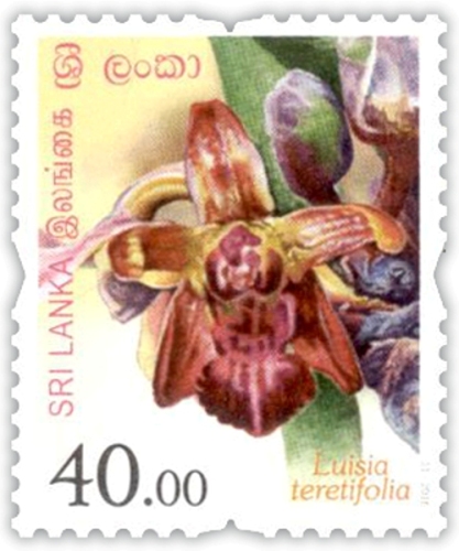 Flowers of Sri Lanka - 2016 (11/12)