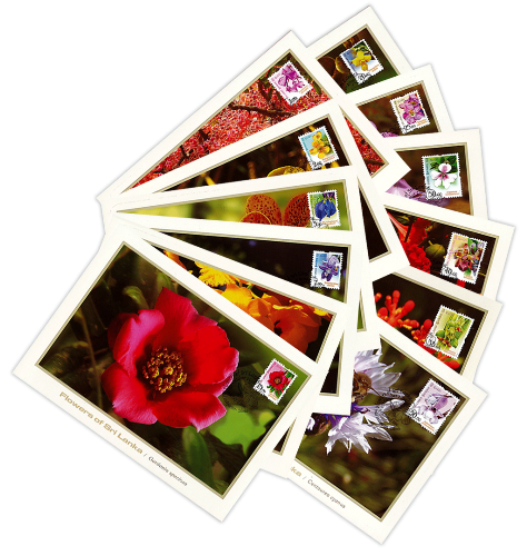 Flowers of Sri Lanka - 2016 (Maximum Card Pack)