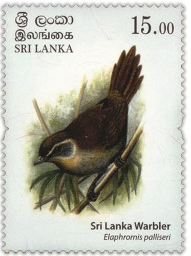 Endemic Birds of Sri lanka(3/4) - 2017
