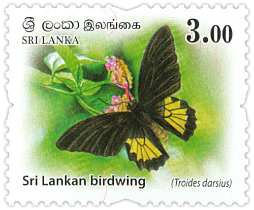 Wild Animals of Sri lanka (1/3) - 2018