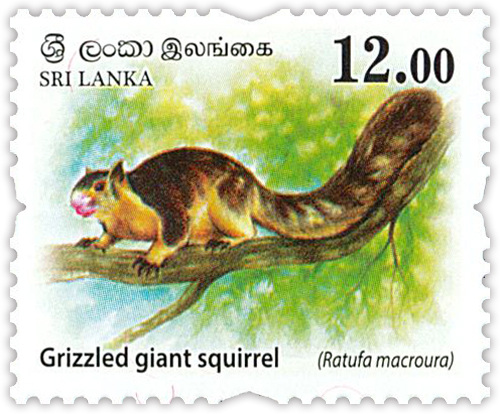Wild Animals of Sri lanka (2/3) - 2018
