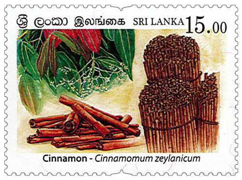 Spices of Sri Lanka - 2019 - Cinnamon (01/04)