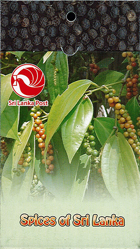 Spices of Sri Lanka(Booklet - Pepper)(02/04) - 2019