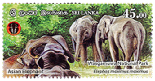 National Parks of Sri Lanka - Wasgamuwa National Park(5/6) - 2019(Asian Elephant)