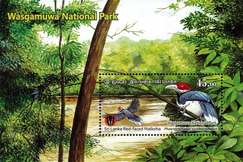 National Parks of Sri Lanka (ss)- Wasgamuwa National Park(6/6) - 2019(Sri lanka Red - Faced Malkoha)
