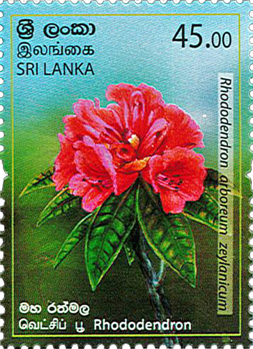 Provincial Flowers of Sri Lanka(Rhododendron) - 2019 (Series II)