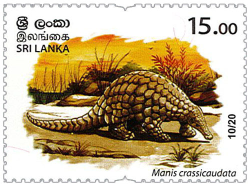 Wild species threatened by trade in Sri Lanka - 2020 - 10/20 (Manis crassicaudata)