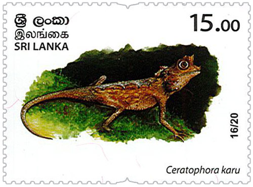 Wild species threatened by trade in Sri Lanka - 2020 - 16/20 (Ceratophora karu)