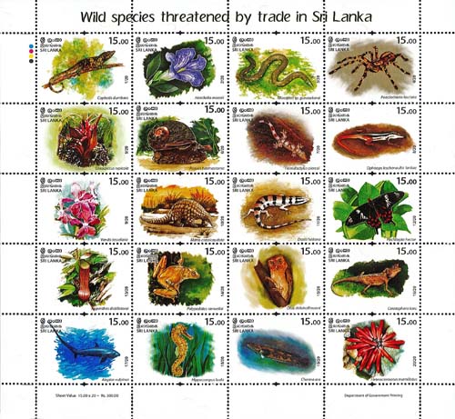 Wild species threatened by trade in Sri Lanka (Sheetlet) - 2020