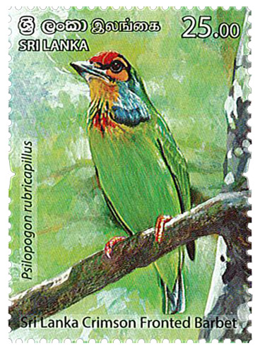 Endemic Birds Of Sri Lanka  (2021) - (sri lanka crimson fronted barbet) - (6/6)