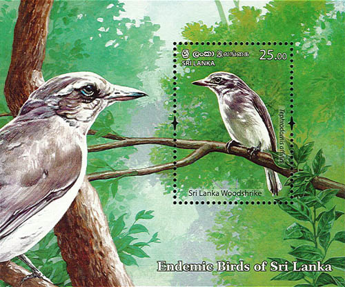 Endemic Birds Of Sri Lanka (2021) SS - (sri lanka woodshrike) - (1/6)