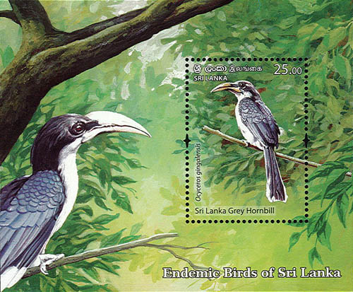 Endemic Birds Of Sri Lanka (2021) - SS (sri lanka grey hornbill) - (5/6)
