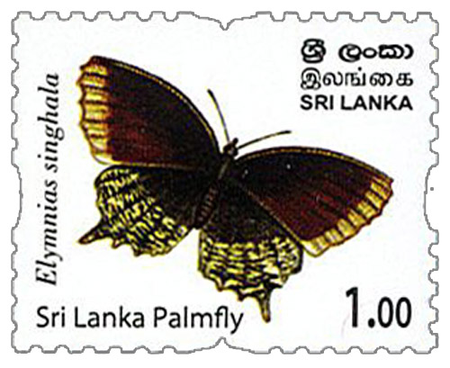 Endemic Butterflies of Sri Lanka (Sri lanka Palmfly) - 2022 (1/12)