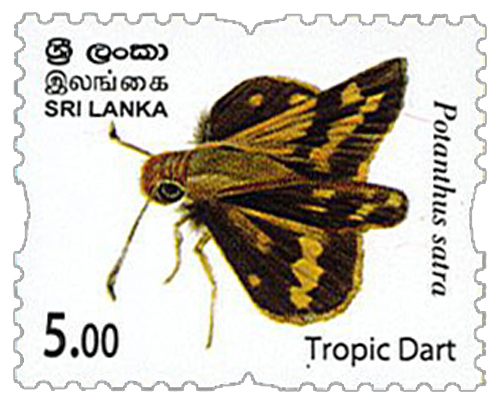 Endemic Butterflies of Sri Lanka (Tropic Dart - 2022 (2/12)