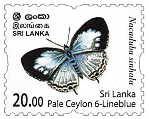 Endemic Butterflies of Sri Lanka (Sri  Lanka Pale Ceylon6 - Lineblue ) - 2022 (4/12)