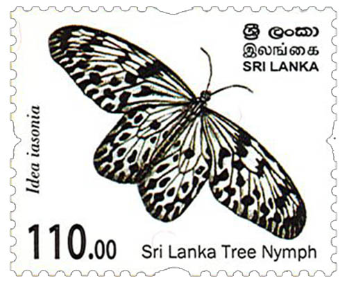 Endemic Butterflies of Sri Lanka (Sri lanka Tree Nymph) - 2022 (11/12)
