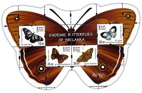 Endemic Butterflies of Sri Lanka (SS - BROWN) - 2022 1/3