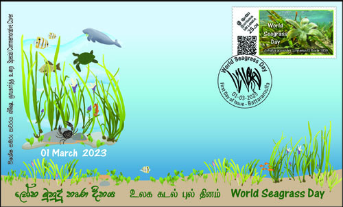 World Seagrass Day  (SPC) - 2023