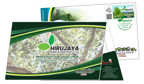 Hirujaya Plantation (pvt) Ltd - (SPC) with FOLDER  2025