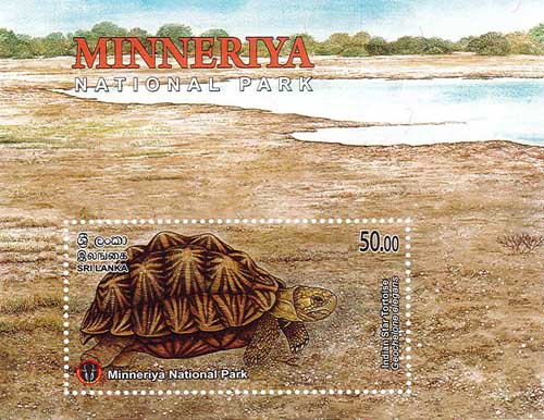 MINNERIYA NATIONAL PARK  - 2025 (SS) (Indian Star Tortoise) (3/10)