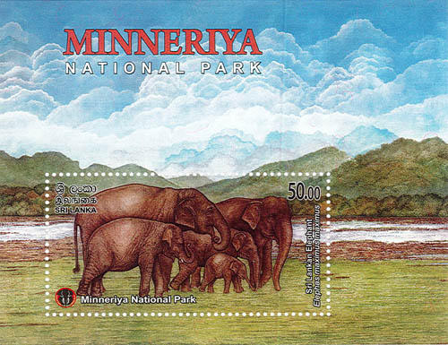 MINNERIYA NATIONAL PARK  - 2025 (SS) (Sri Lankan Elephant) (5/10)