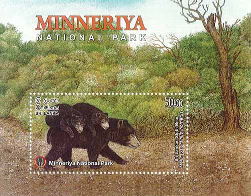 MINNERIYA NATIONAL PARK  - 2025 (SS) (Sri Lankan Sloth Bear) (7/10)