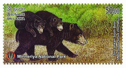 MINNERIYA NATIONAL PARK - 2025  (Sri Lankan Sloth Bear) (7/10)
